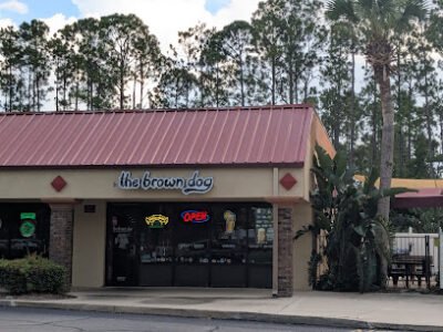 Brown Dog- Palm Coast