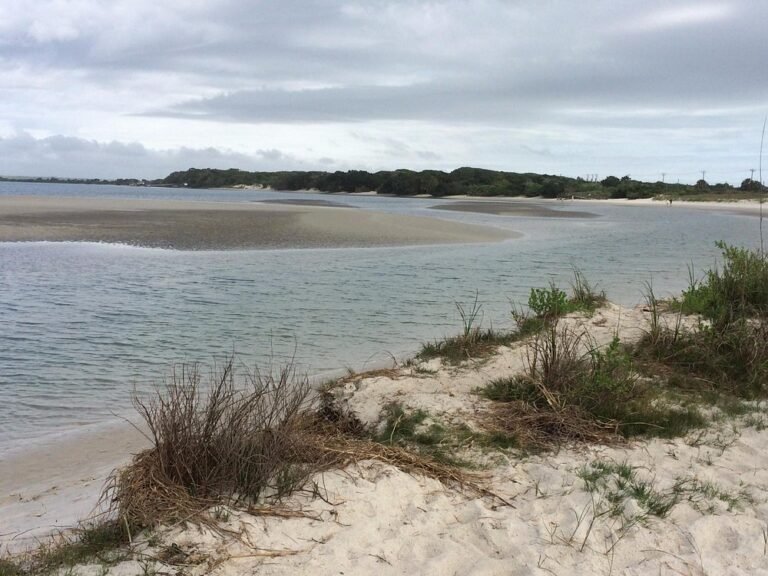 Matanzas Inlet Beach and River