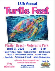 18th Annual Turtle Fest in Flagler Beach