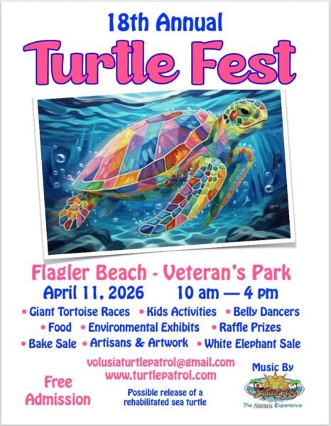 18th Annual Turtle Fest in Flagler Beach